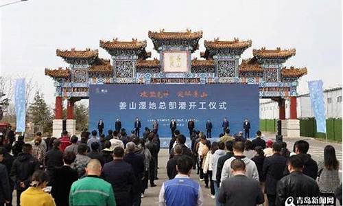 莱西姜山电脑系统,莱西姜山建两所大学