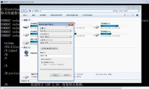 电脑系统格式化格式-电脑格式化?